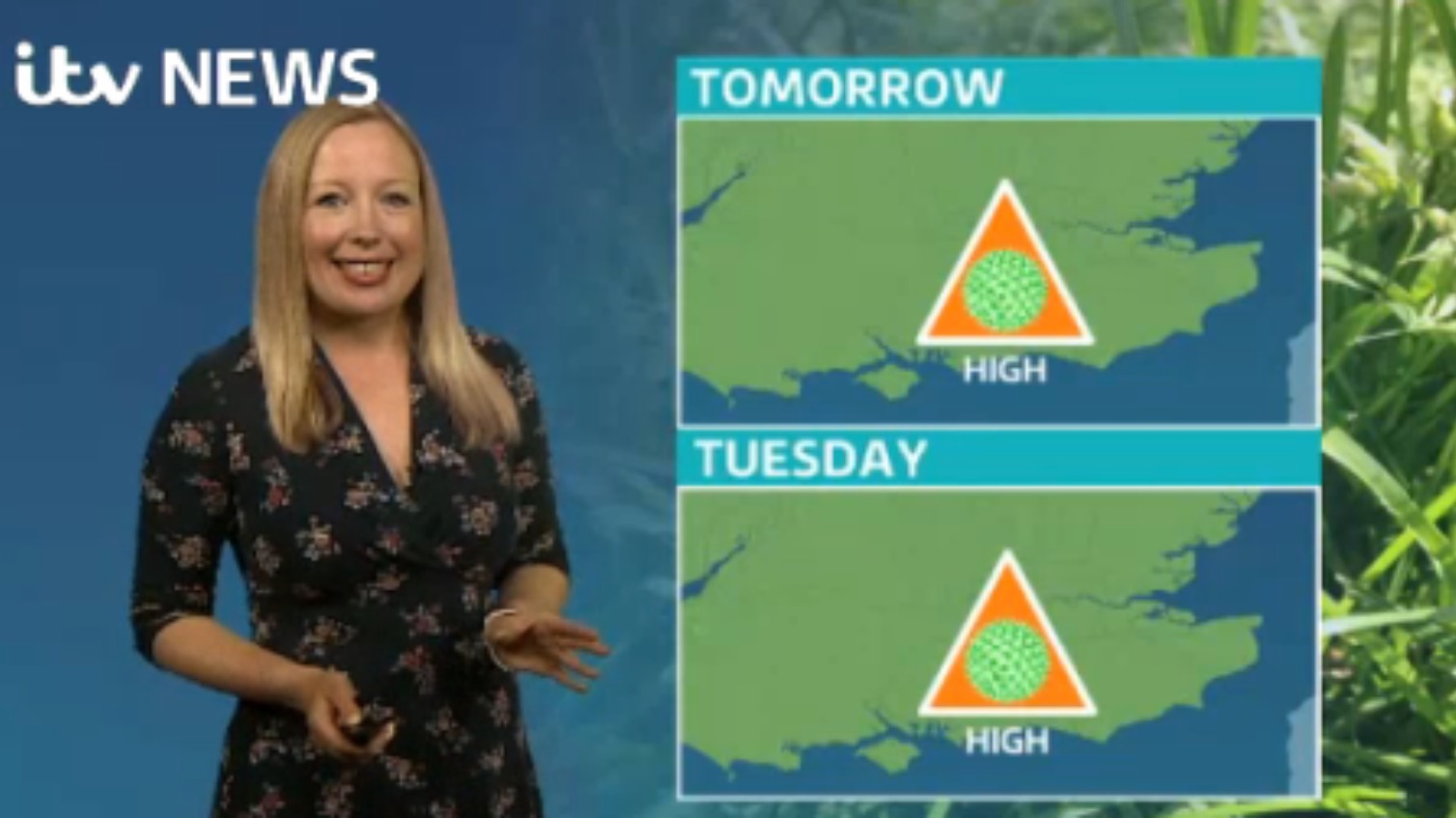 Latest pollen forecast ITV News Meridian