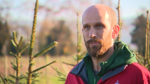 How To Rent A Christmas Tree As Demand Surges At Cheltenham Farm Itv News West Country
