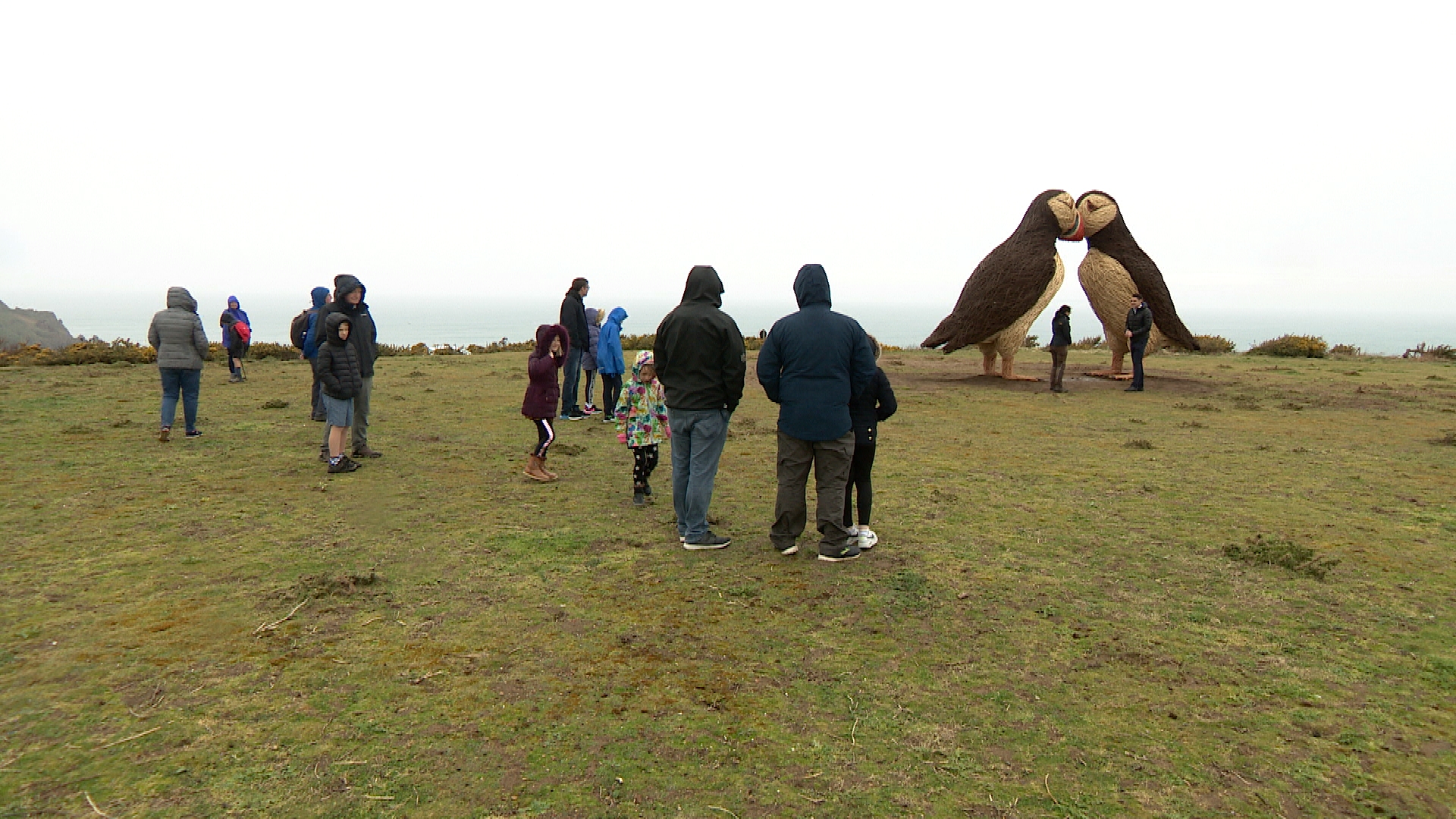 Why there are two giant puffin sculptures at Plemont in Jersey ITV News Channel