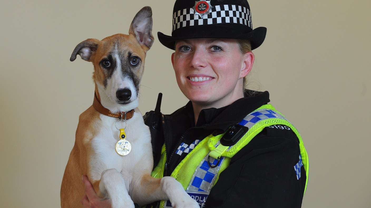 Police Officer Awarded For Bravery After Saving Injured Puppy | ITV ...