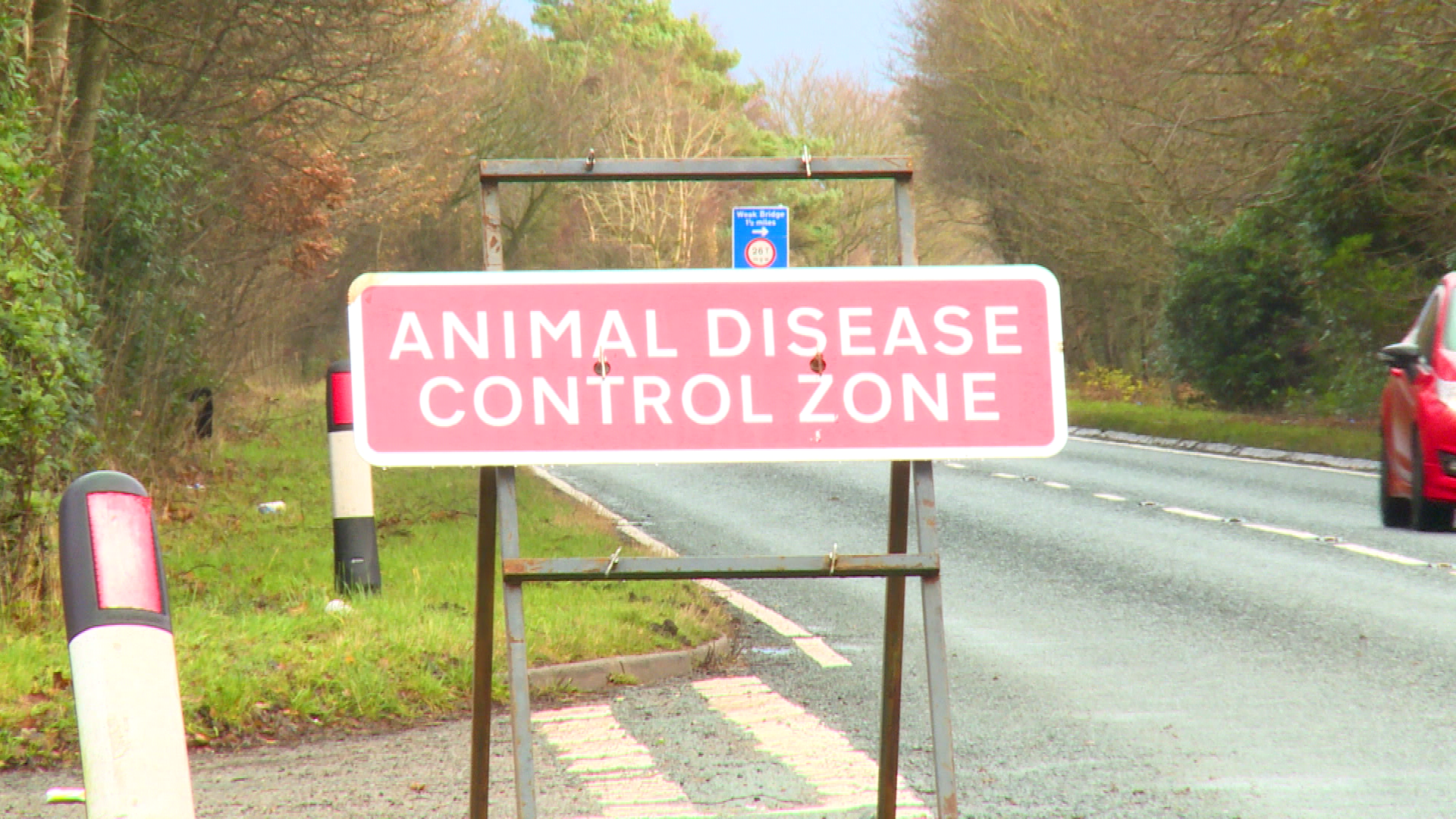 birds-to-be-culled-amid-three-more-outbreaks-of-bird-flu-in-norfolk-and