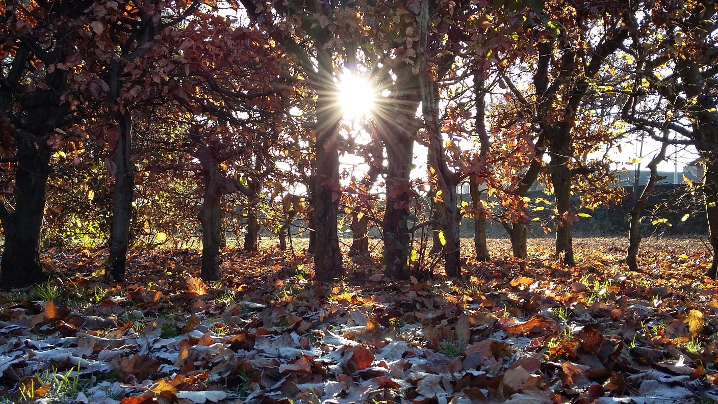 Granada Weather Into the new week ITV News Granada