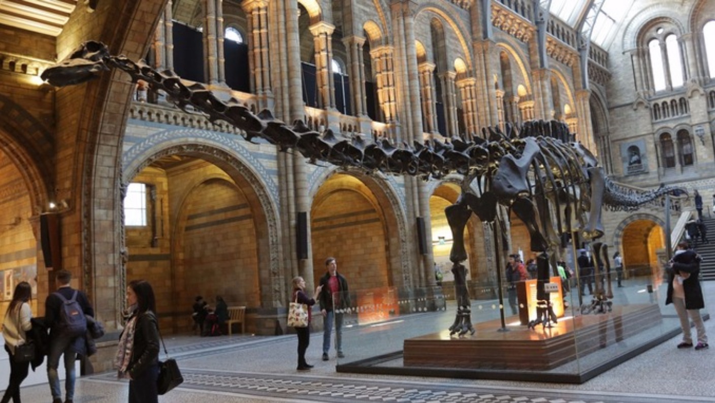 dippy the dinosaur tour