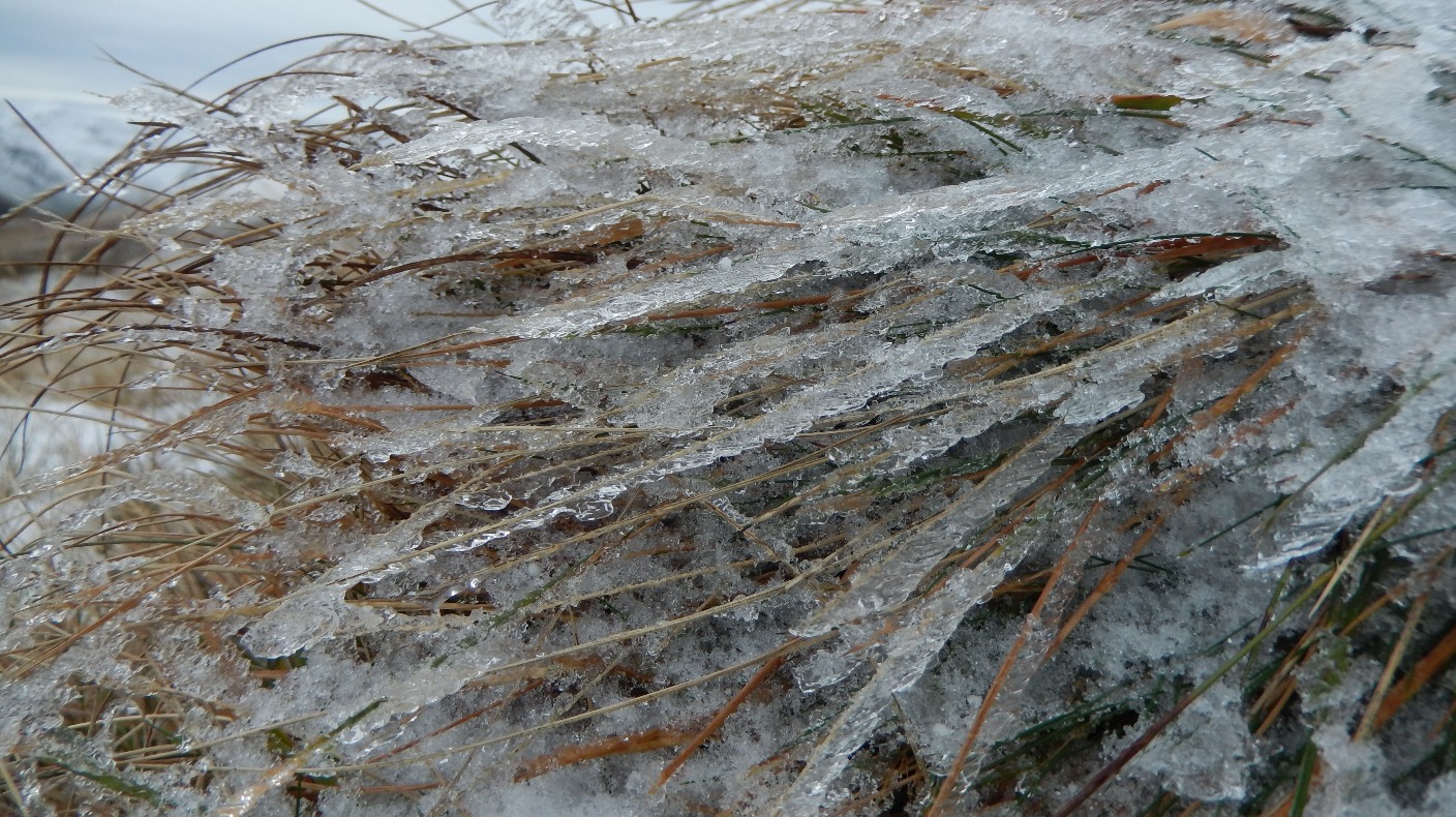 Gales for hills and coasts. Cold snap from midweek | ITV News Border