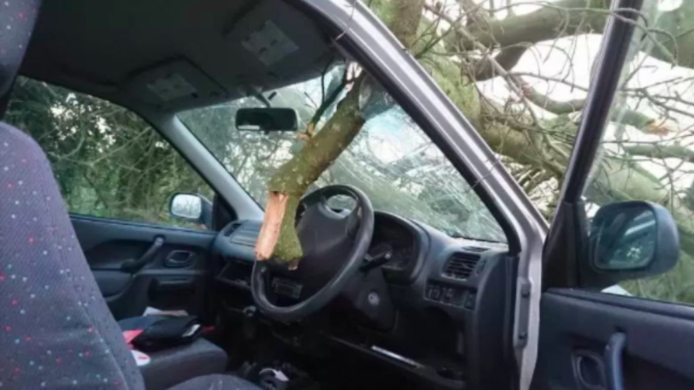 Driver has lucky escape after fallen branch smashes windscreen | ITV ...