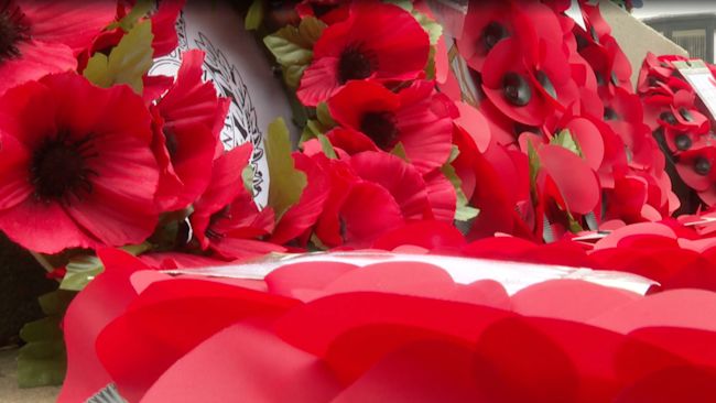Poppies at Remembrance Day service
