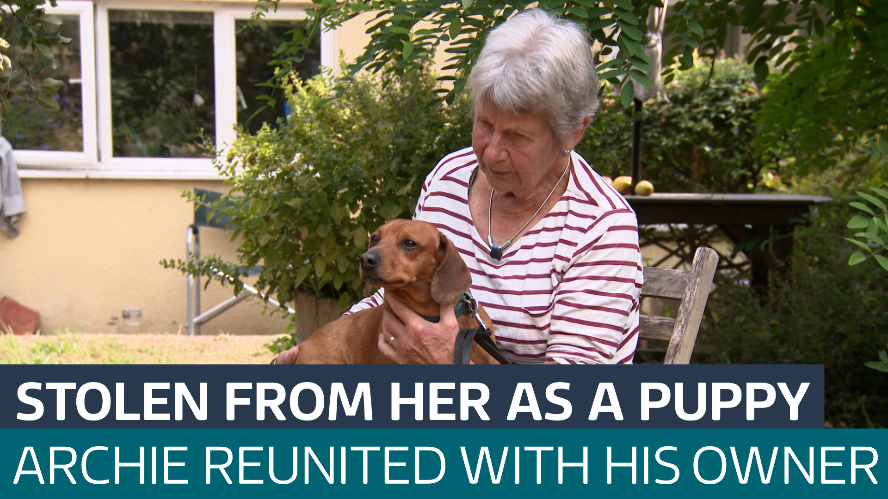 Family reunited with missing dog after three years - Latest From ITV News