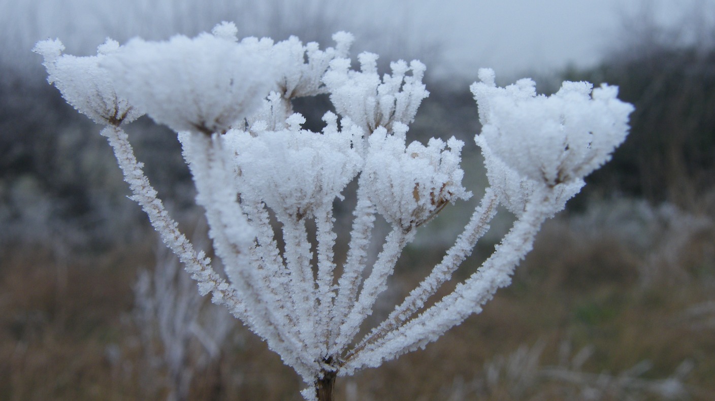 Coldest January for four years in the Anglia region | ITV News Anglia