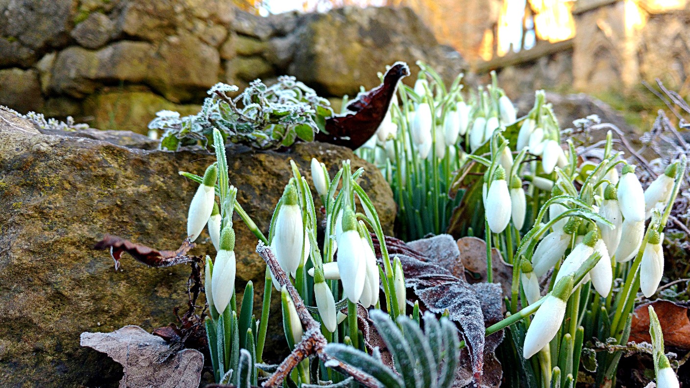 Weather: Another taste of winter | ITV News Tyne Tees