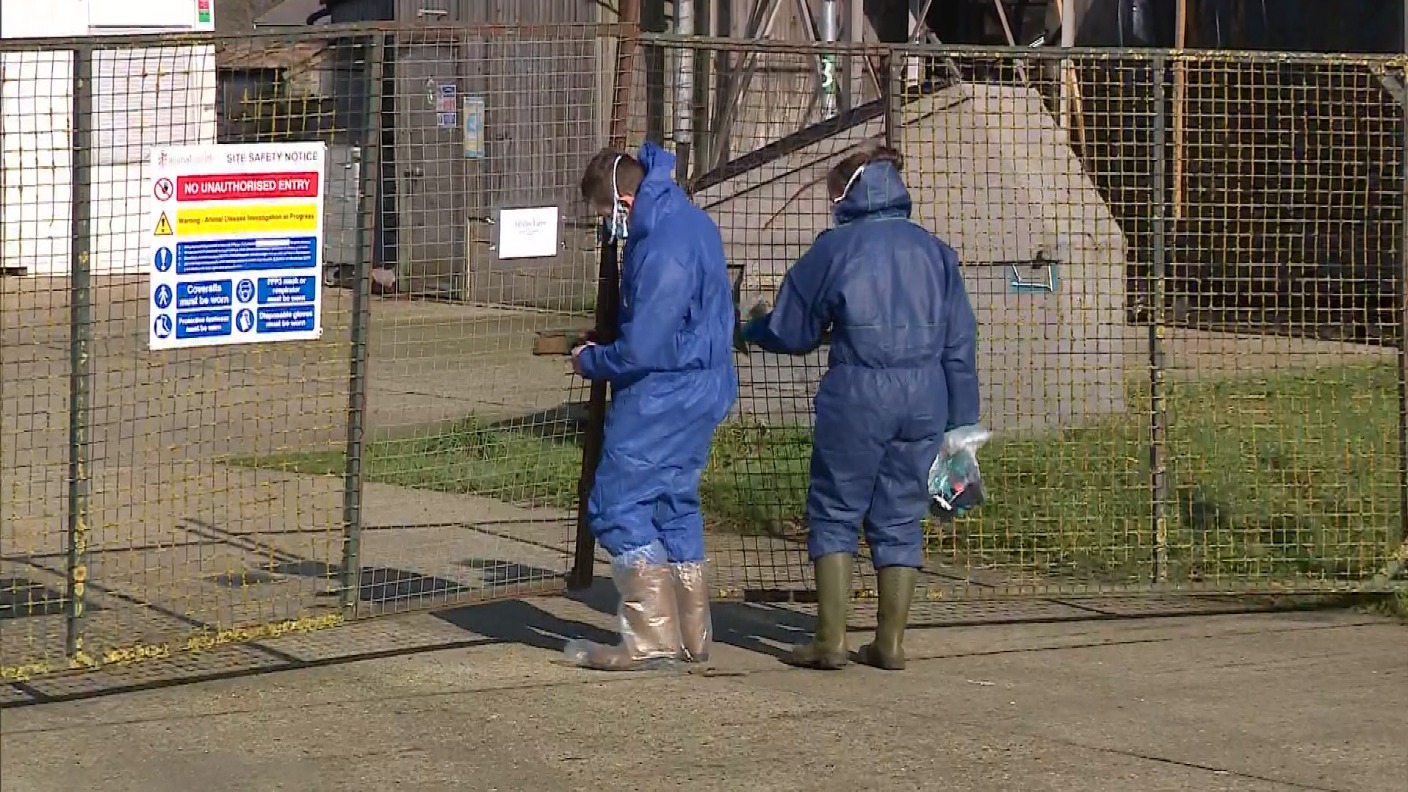 Defra "we need to maintain vigilance" after outbreak of bird flu in