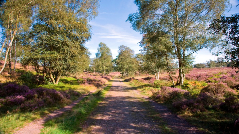 Chilly for the rest of today but bright in places | ITV News Central