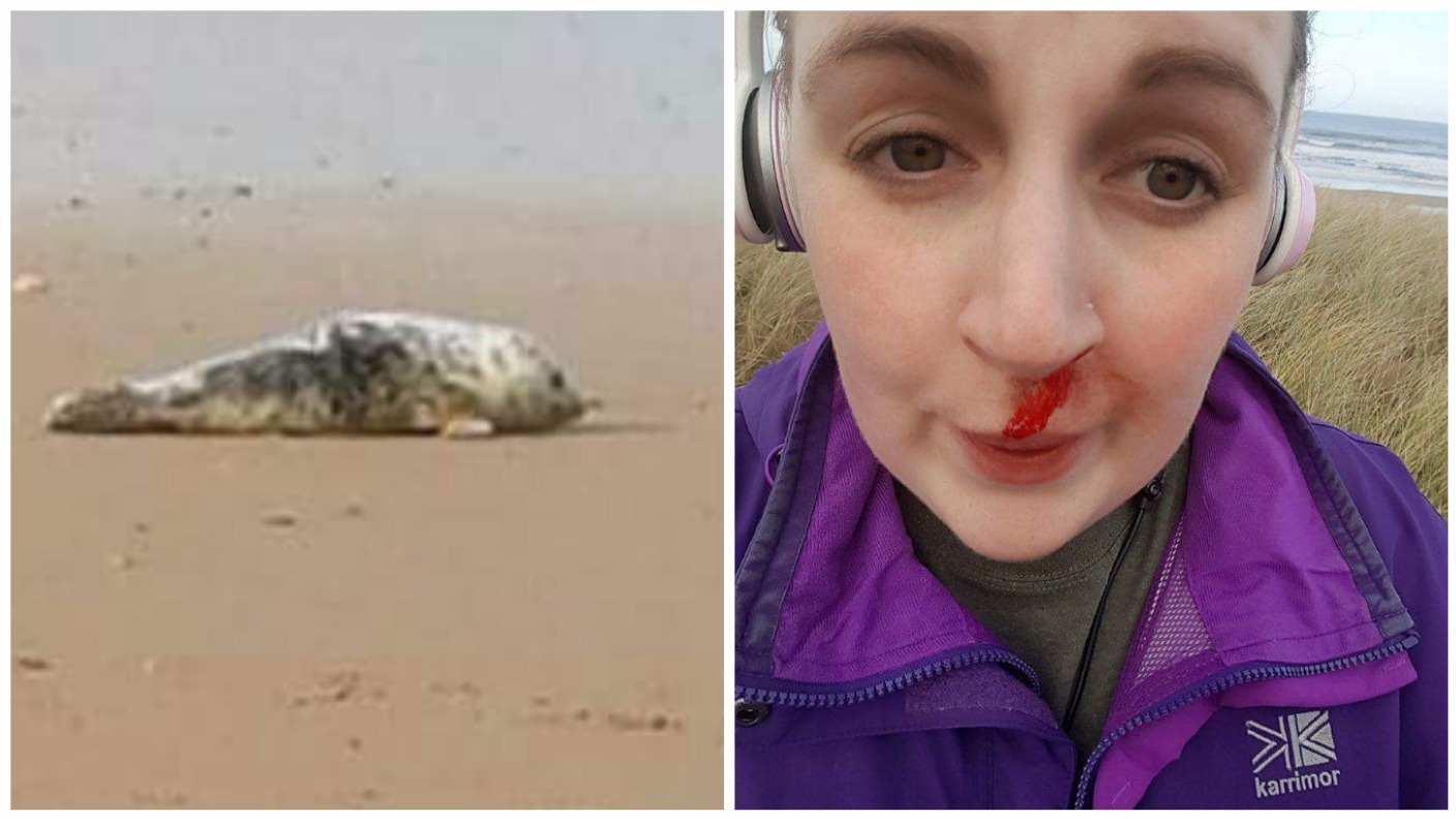 County Durham dog walker punched by teenagers attacking a seal ITV
