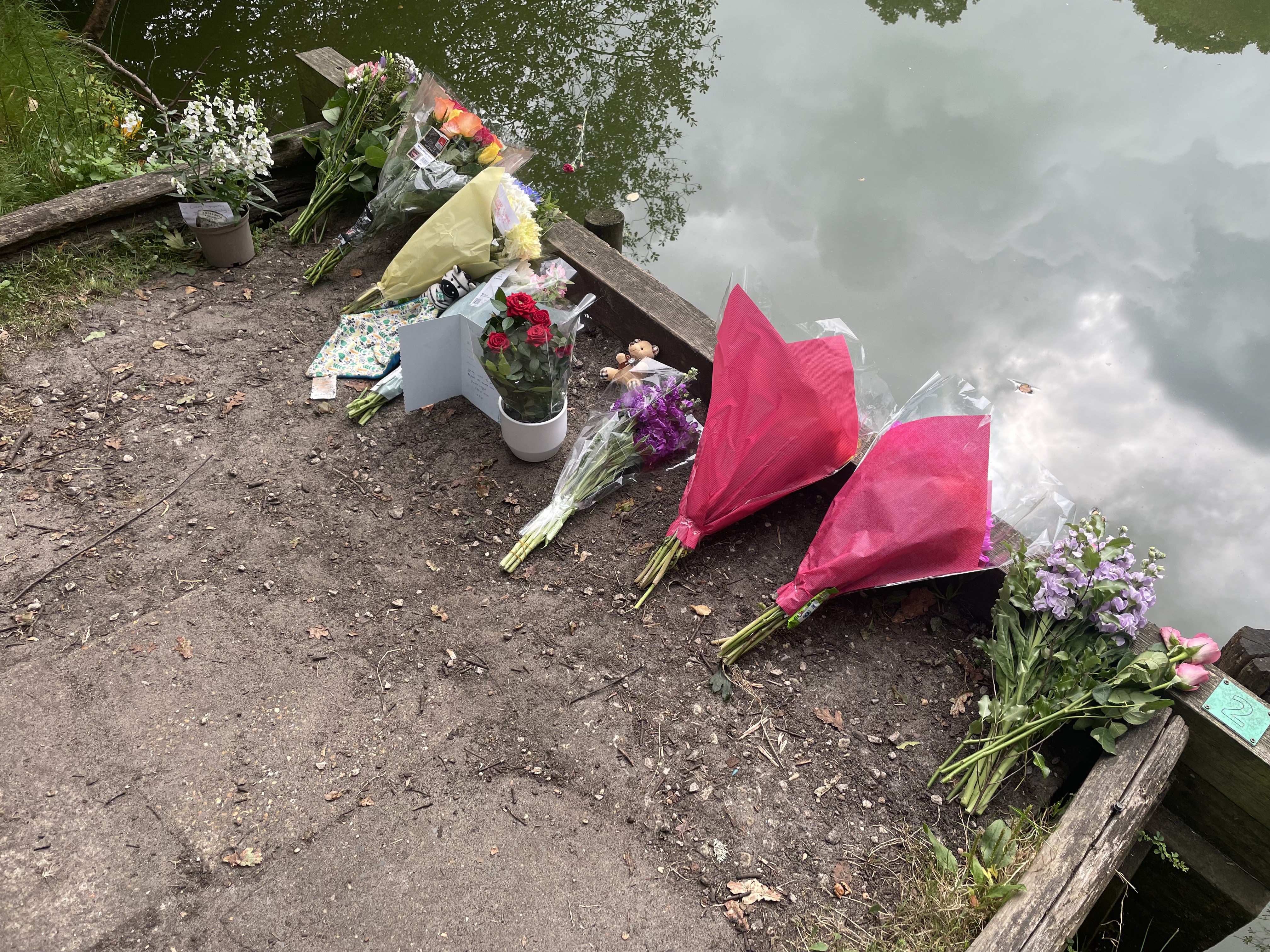 Woman arrested after death of girl, 2, found unresponsive in Hampshire(02)