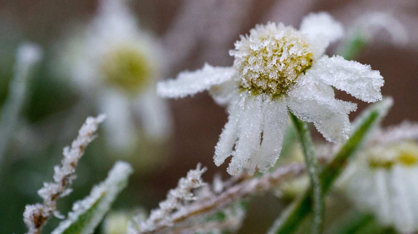 Colder Canadian air arrives bringing Blackthorn Winter as UK celebrates Spring Equinox ITV News