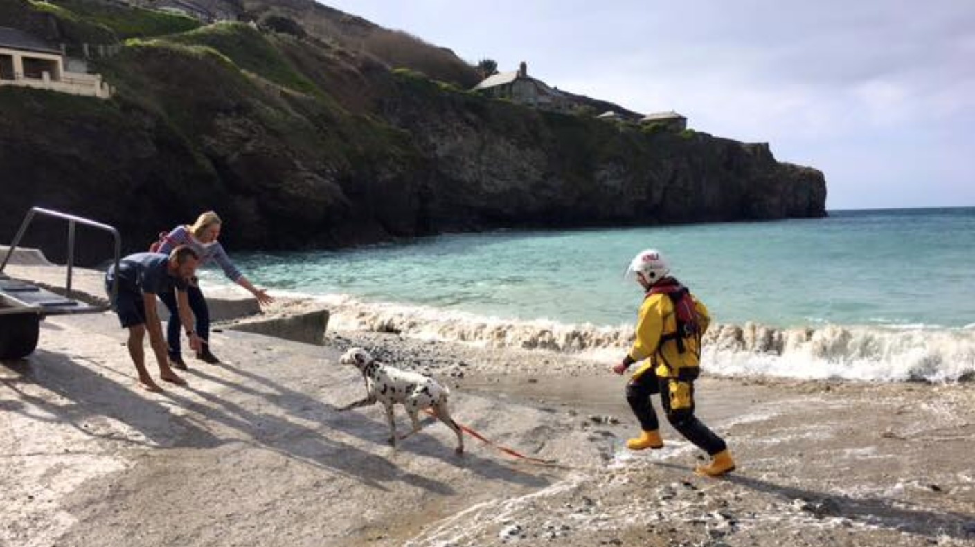 Dalmatian rescued by lifeboat after 100 ft cliff fall ITV News West(02)