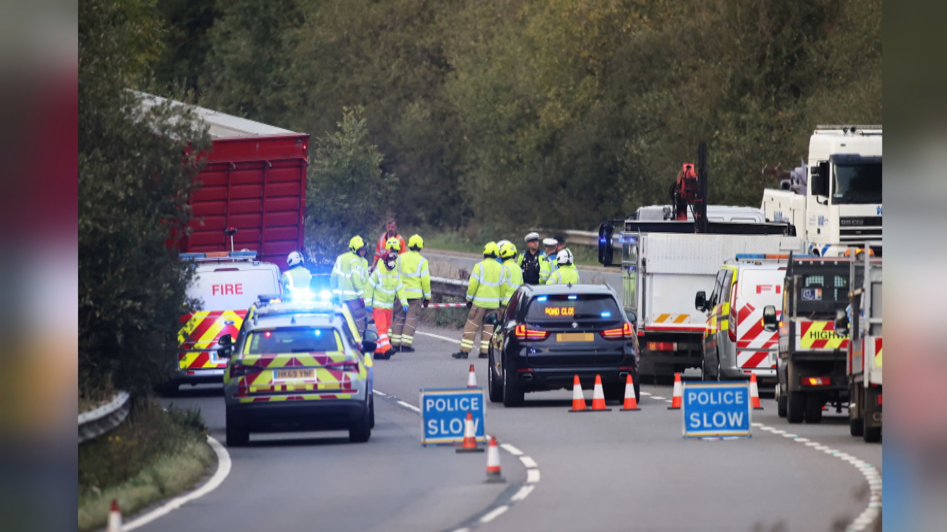 Sixty sheep dead after lorry overturned on A24 ITV News Meridian