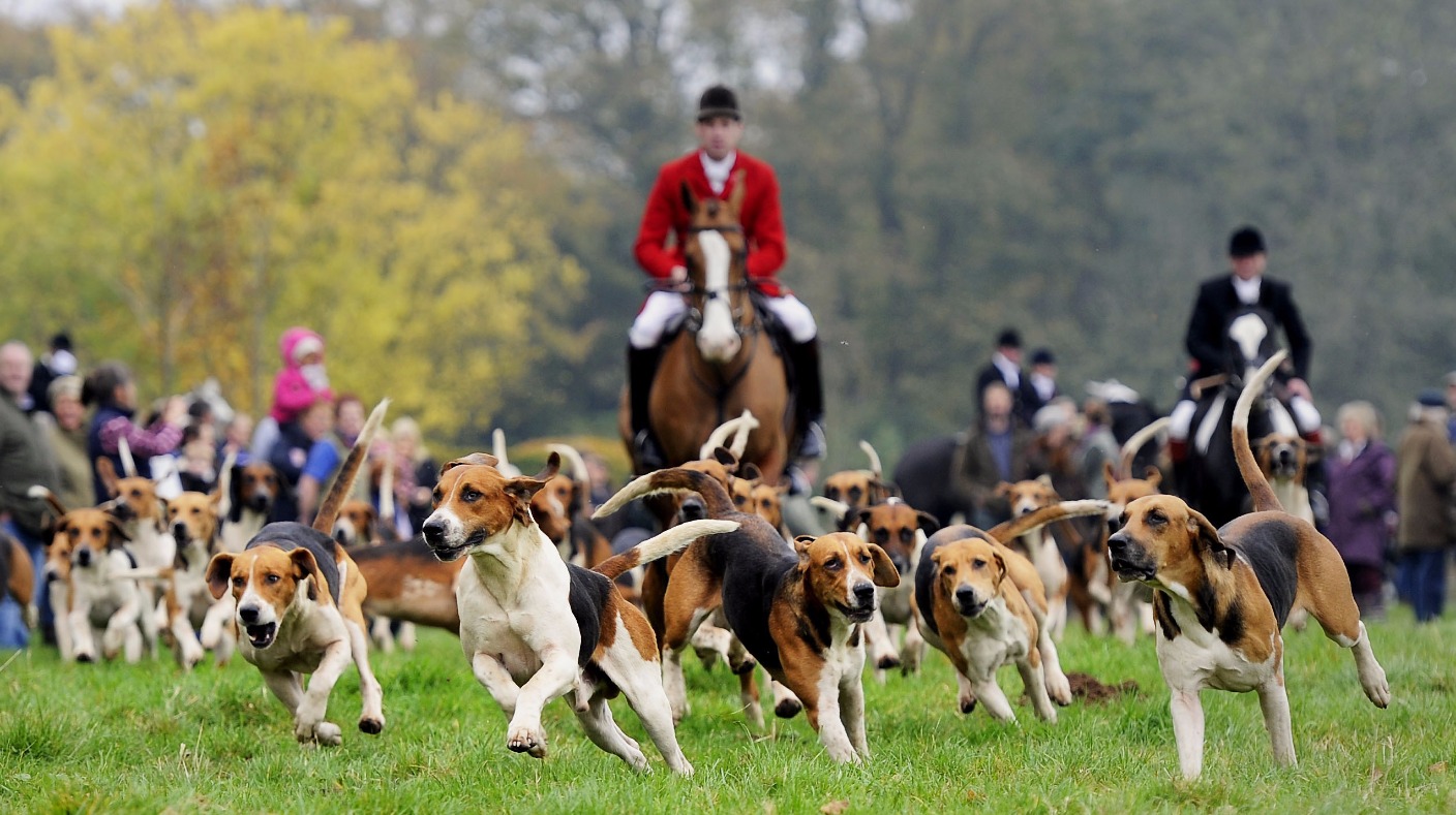 Hunting with dogs