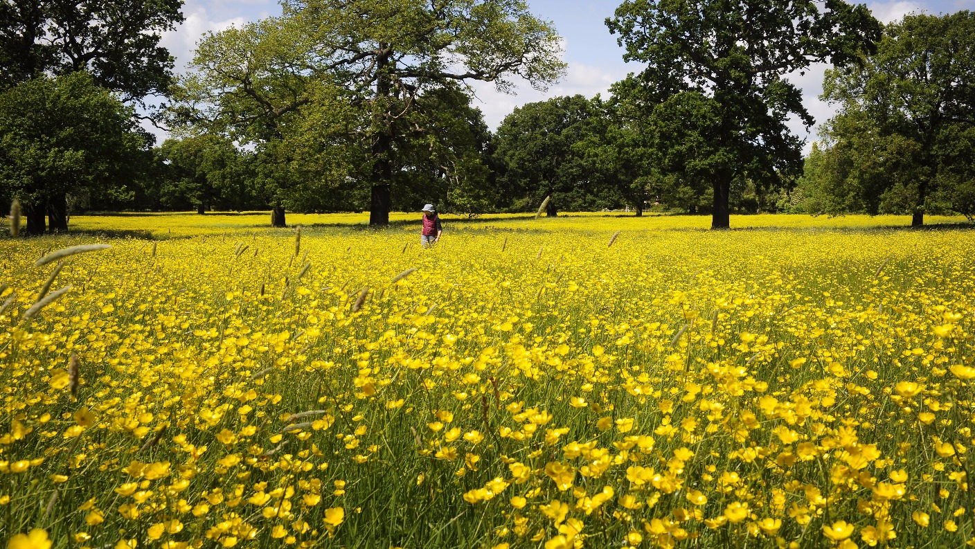 West Midlands Weather: sunny breaks and isolated showers | ITV News Central