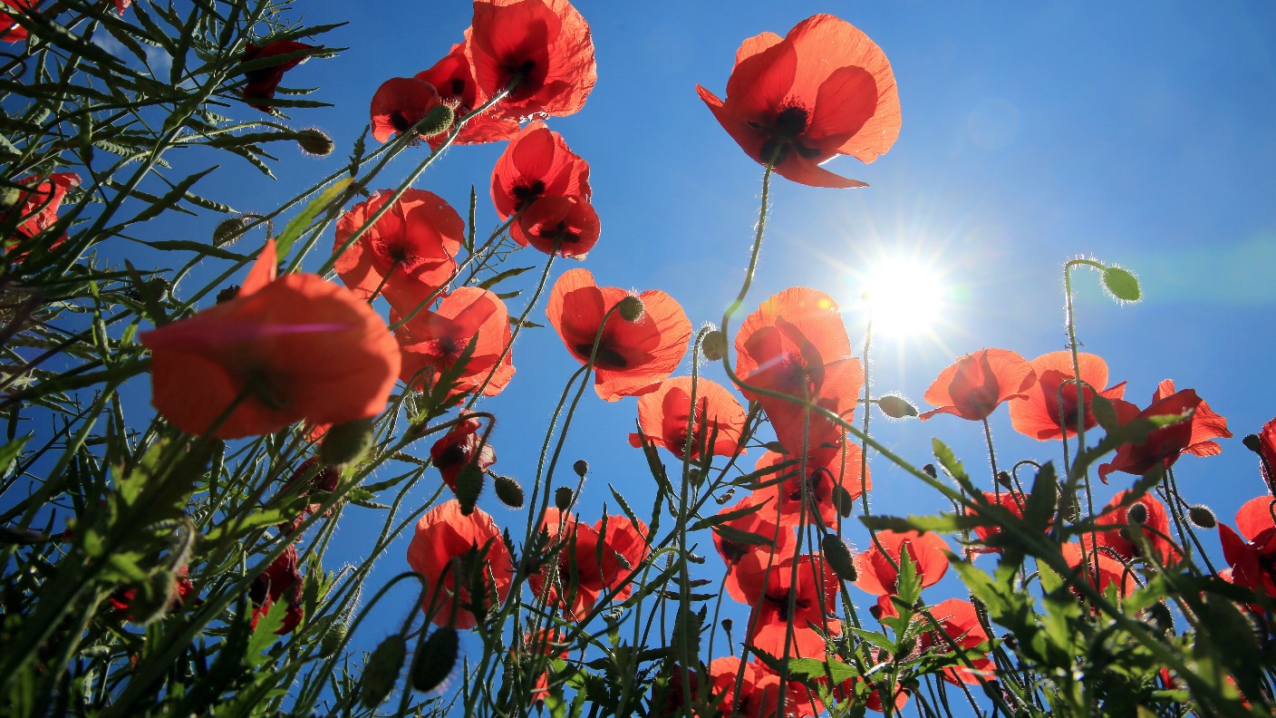 Tips for keeping safe in the sun this summer | ITV News Central