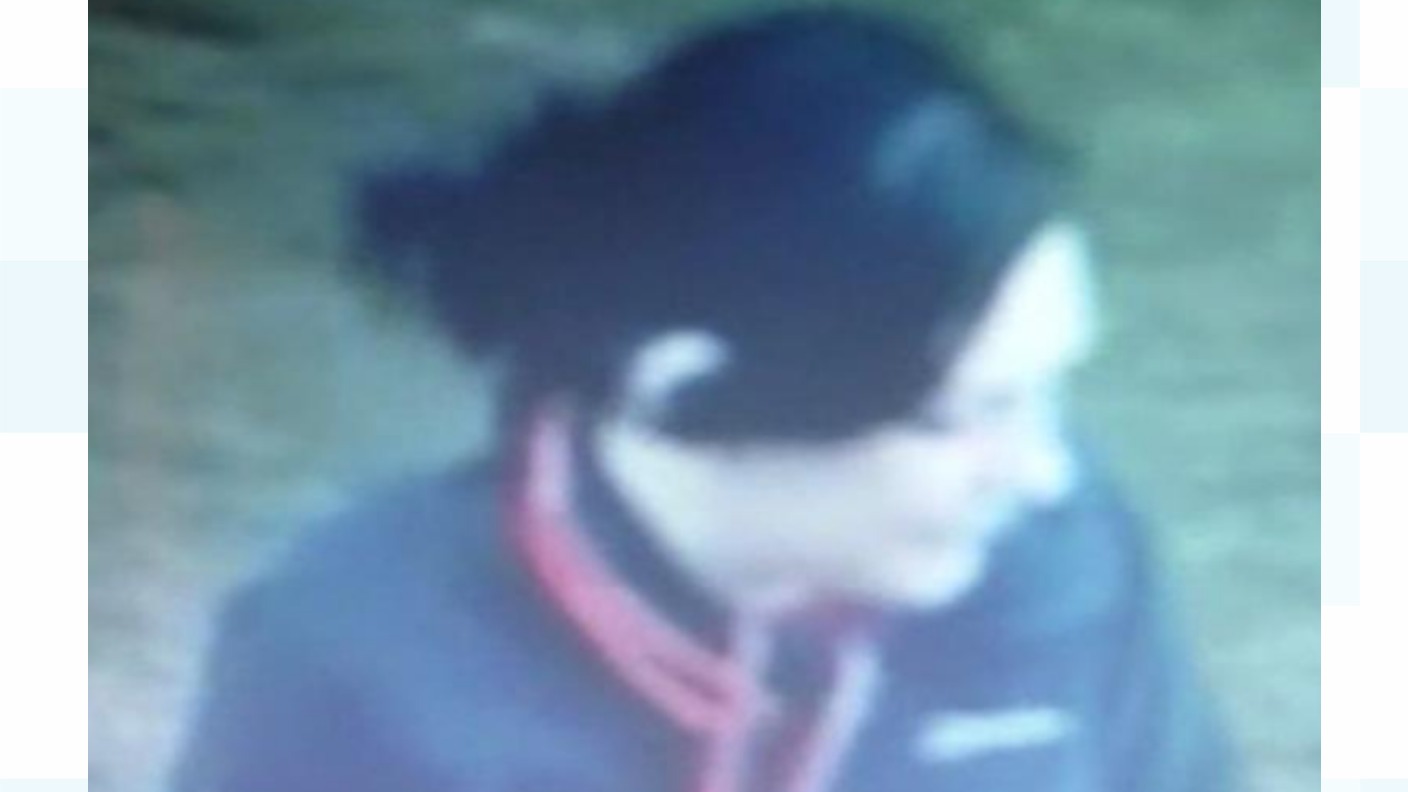 Police search for dog owner after child bitten in Plymouth park | ITV ...