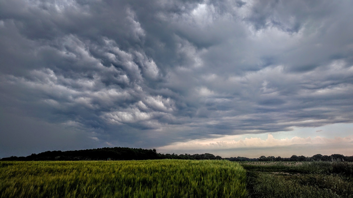 Anglia Weather Humid. The risk of thundery downpours ITV News Anglia