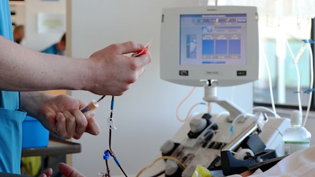 A donor carer connects a donor to an apheresis machine which separates plasma from blood