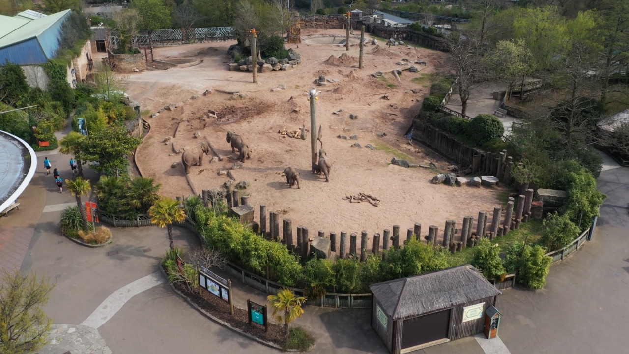‘Conservation cannot wait’ - Chester Zoo unveils ambitious plans to