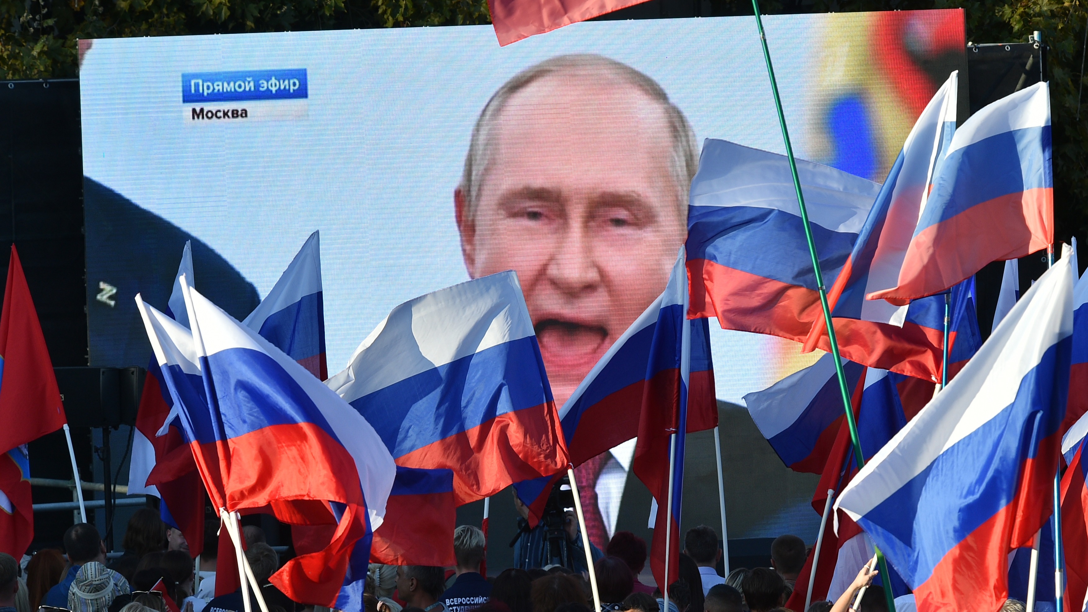 Erotik gozal paypoq mushuk dildo