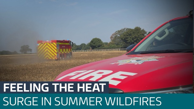 Firefighters ramp up wildfire response as heatwave blazes surge ...