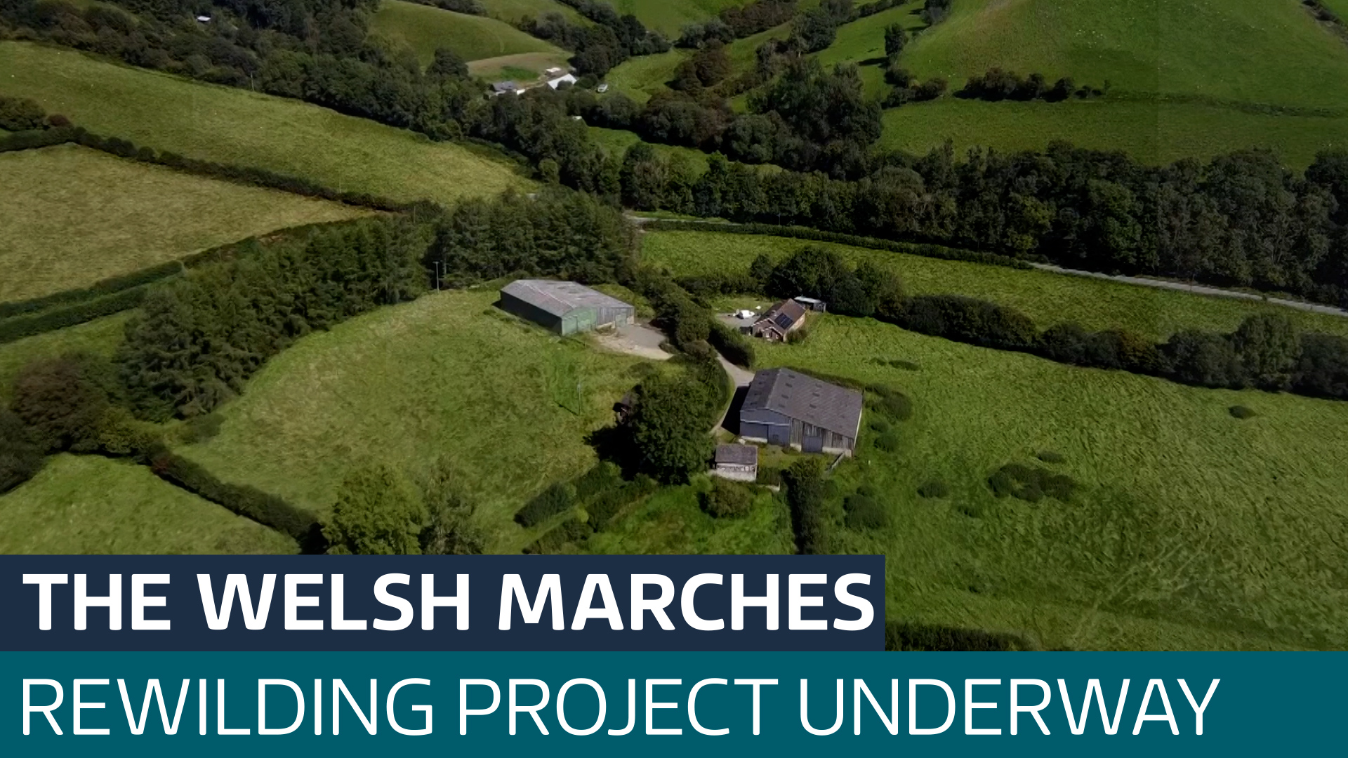Major 'nature recovery' project begins in the Welsh Marches - Latest ...
