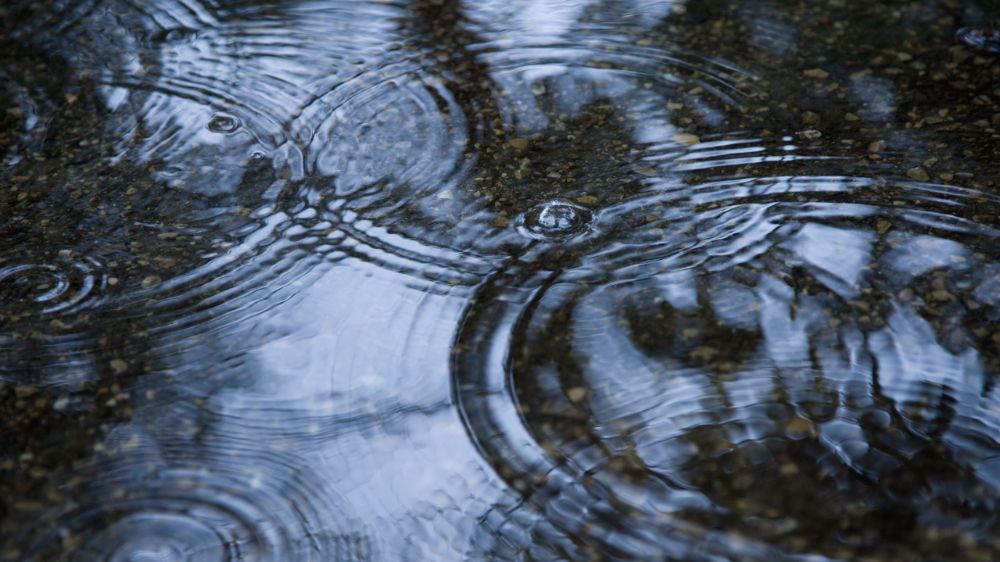 Blog More Jersey rainfall in two weeks than November average ITV