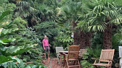 the thirty year jungle in a sheffield back garden itv news calendar