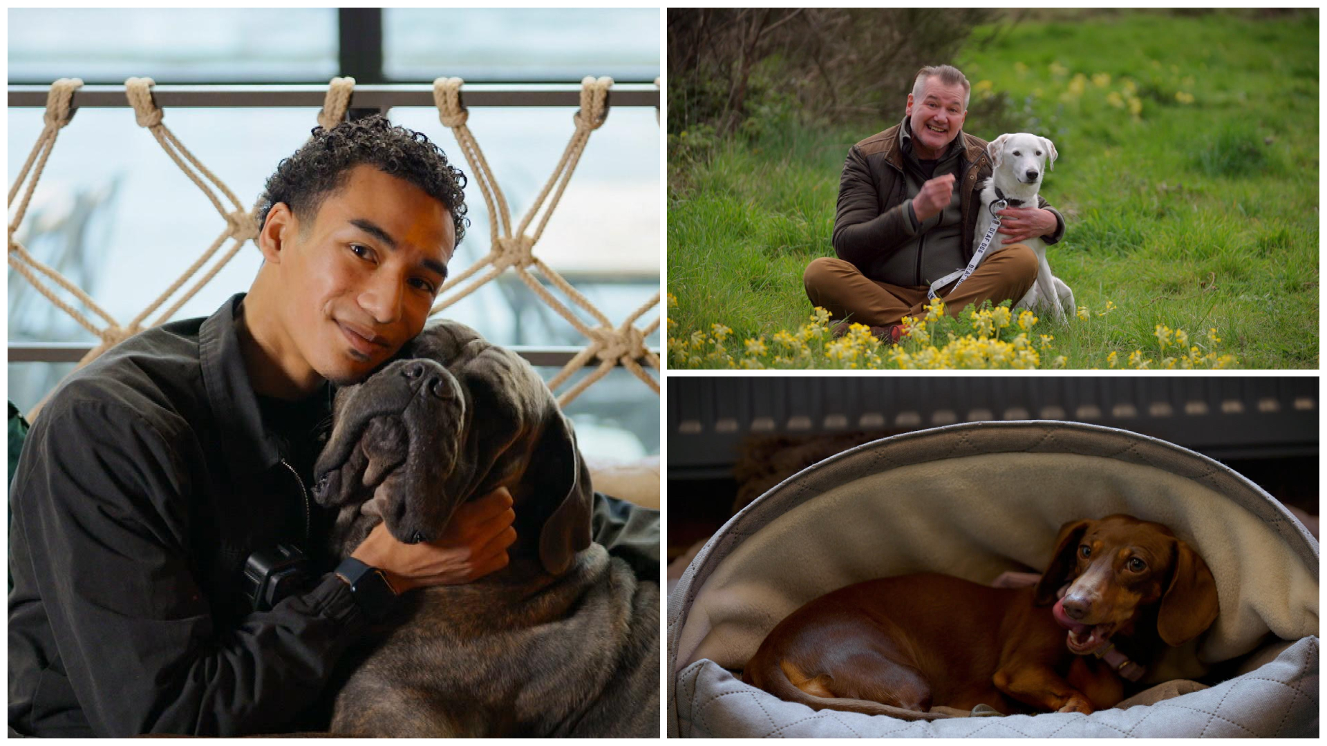 'The first 100k views felt amazing': The social media pet stars paying ...