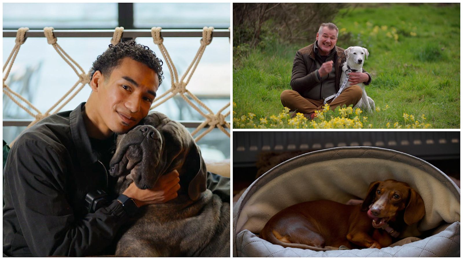 'The first 100k views felt amazing': The social media pet stars paying ...