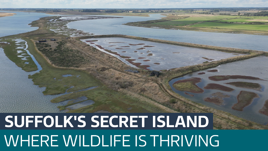 The hidden wildlife haven on Suffolk's only island - Latest From ITV News