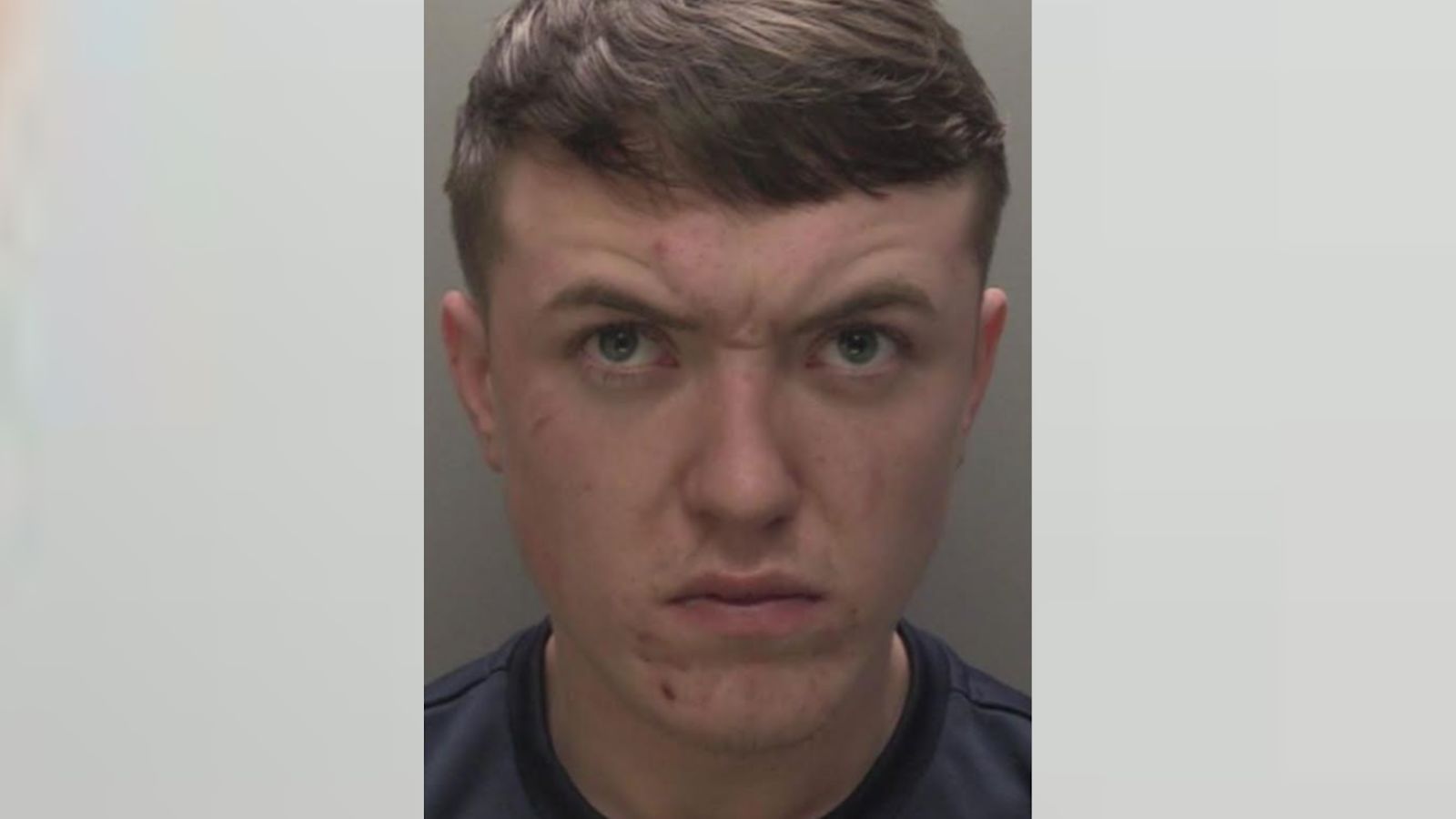 Hull teen attacked police dog with shovel before assaulting officer Hull teen attacked police dog with shovel before assaulting officer