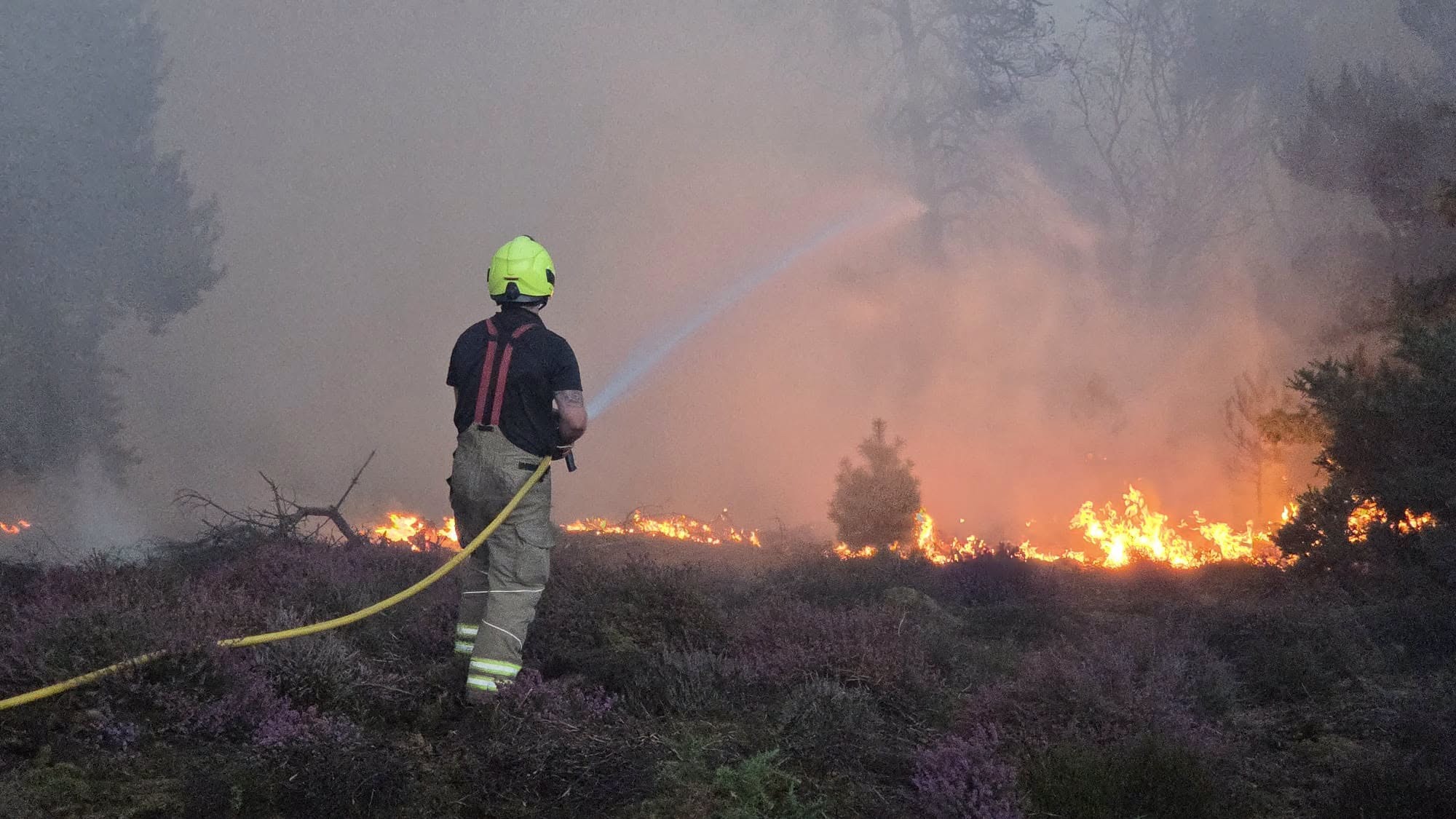 Firefighters battle large wildfire at Dunwich Heath in Suffolk; 120 firefighters deployed as crews plan to 'fight fire' for the next 24 to 48 hours