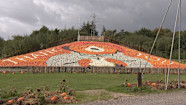 Southampton Farm Designs Special Paddington Bear Pumpkin Display In