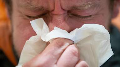 Could eating peppermints help when you have a cold?