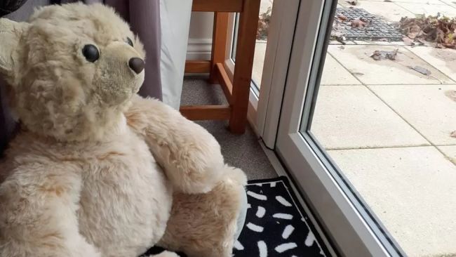 Huge teddy bear rescued from waste tip near Cambridge