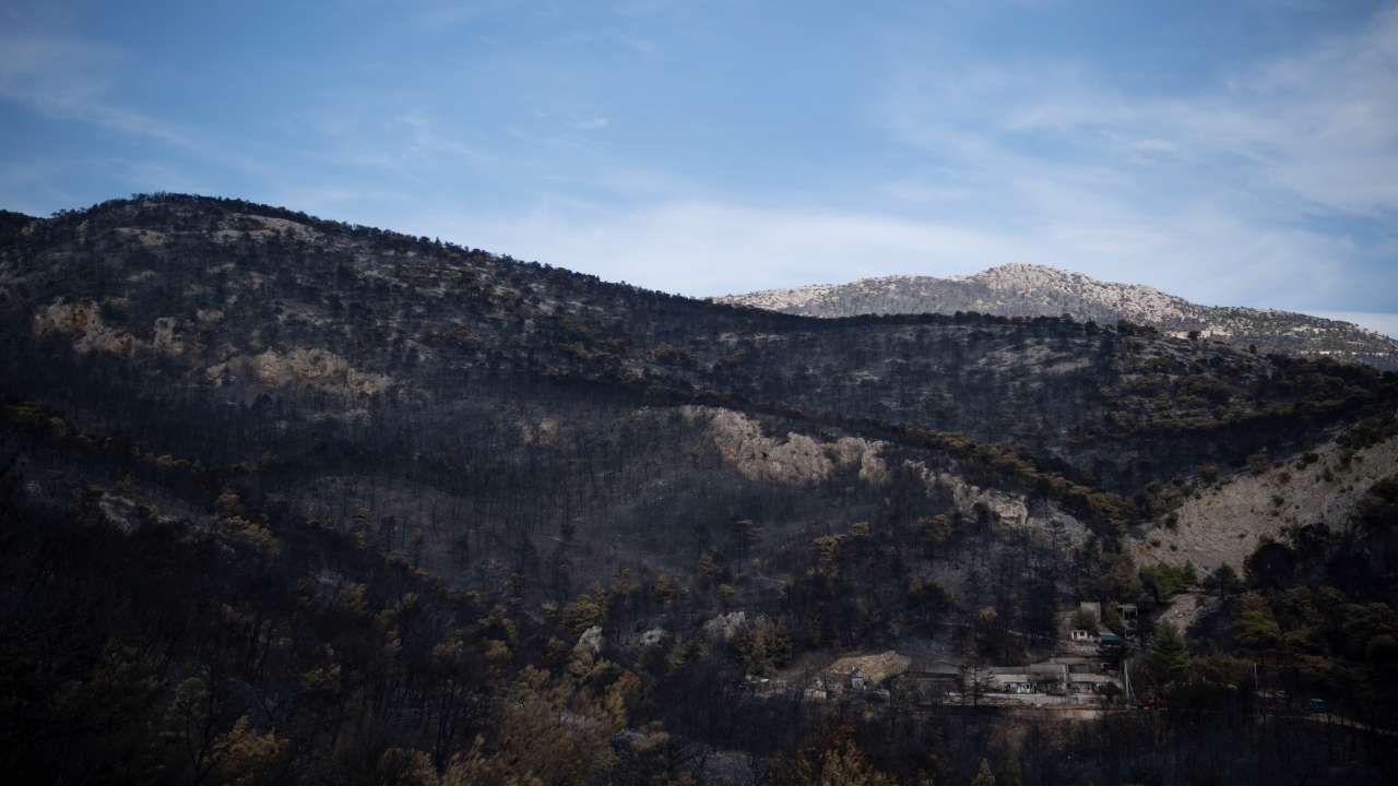 Hundreds of firefighters battle huge wildfires raging through Greece