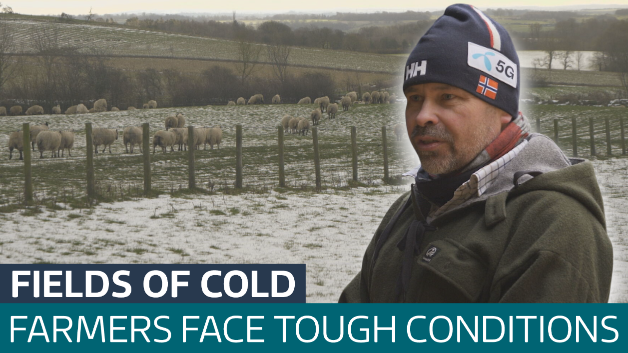 How a farmer in rural Northumberland is fighting the freezing weather ...
