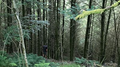 The body was found in December 1979 in Rheola Forest near Resolven