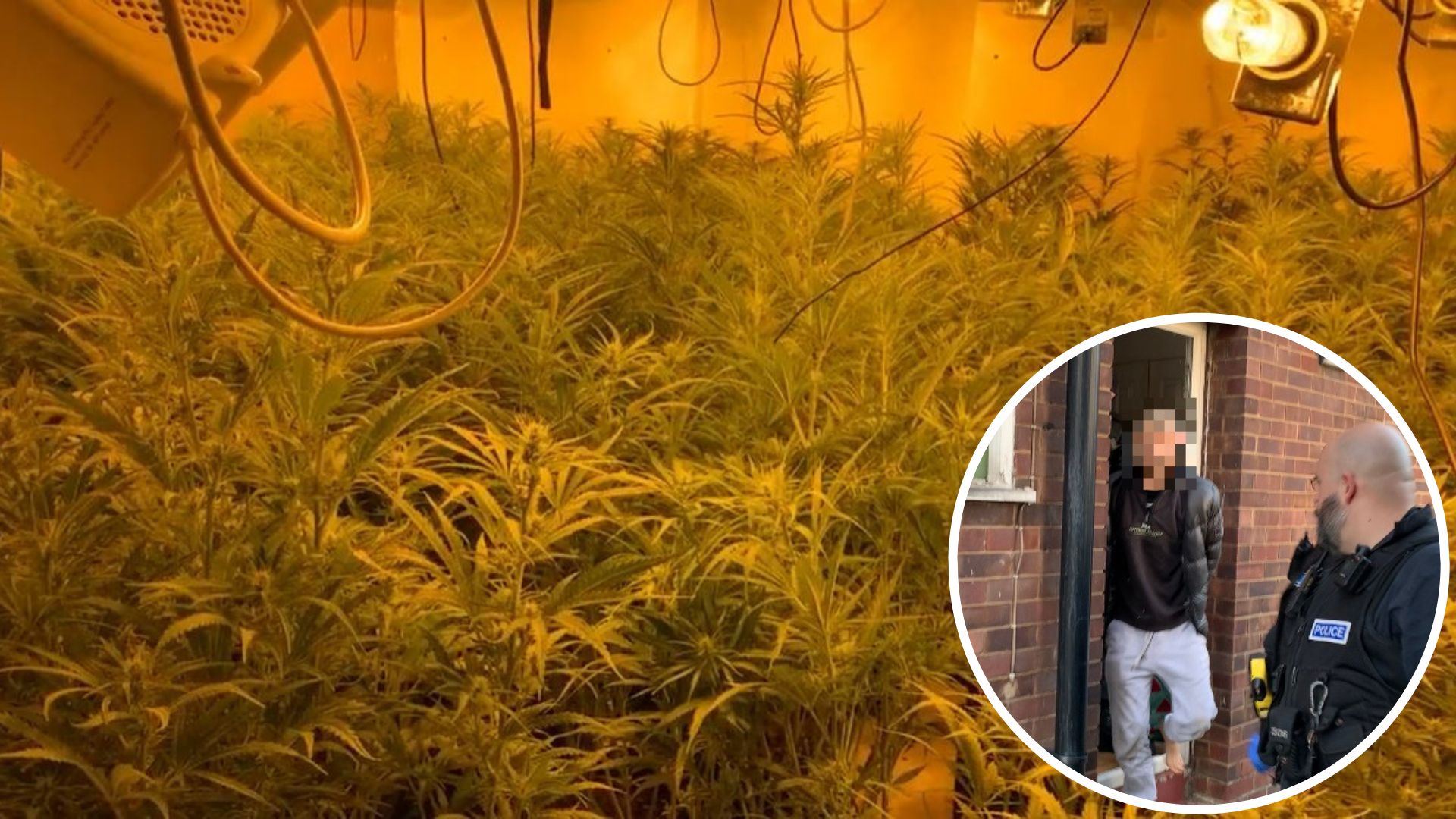 Man Found Hiding In Loft As Police Raid Doncaster Cannabis Farm | ITV ...