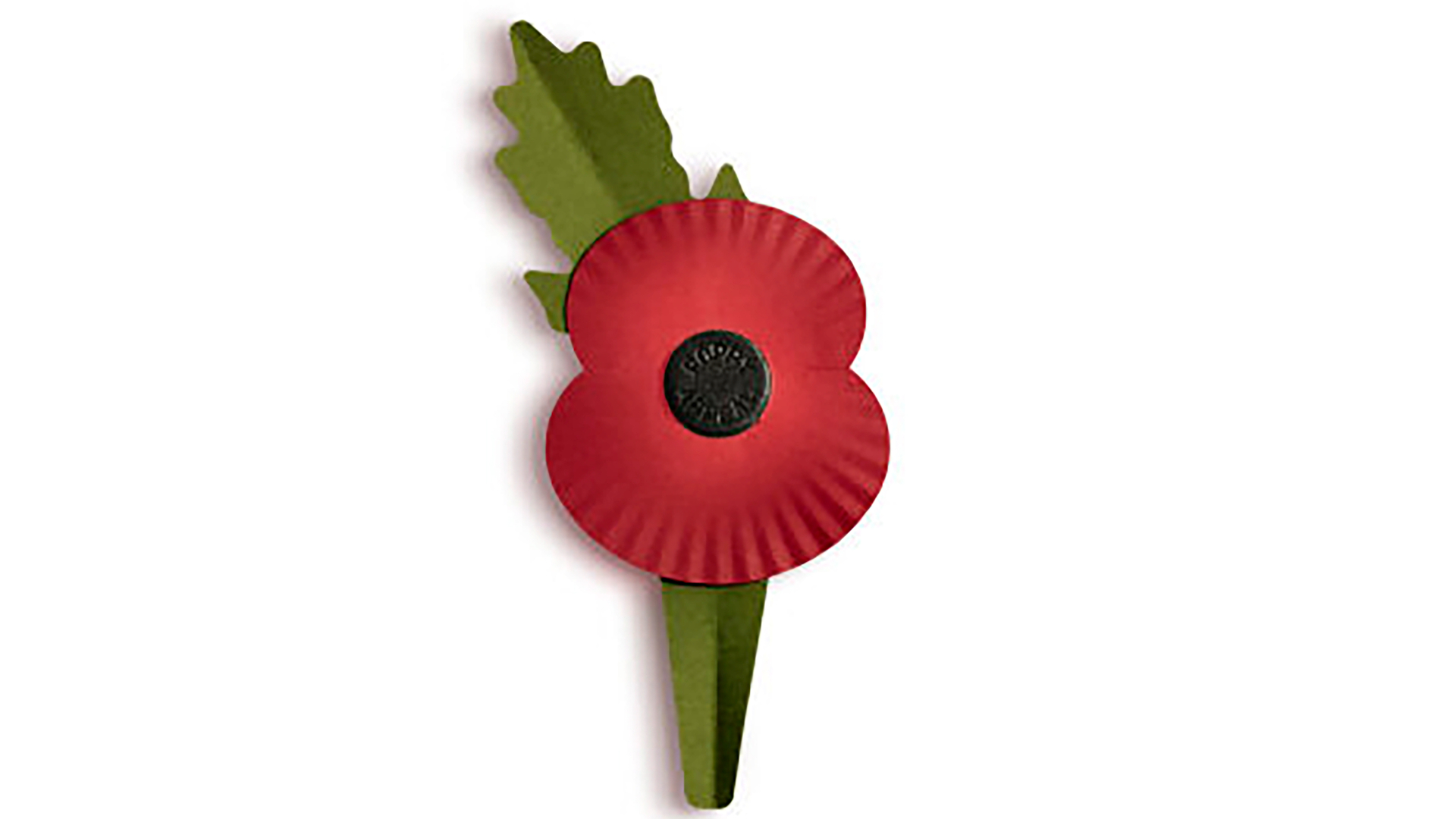 When you should stop wearing poppies after Remembrance Day 2021