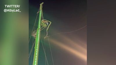 Slingshot Ride Snaps Two freed from slingshot at Hyde Park's Winter Wonderland as ride snaps ...