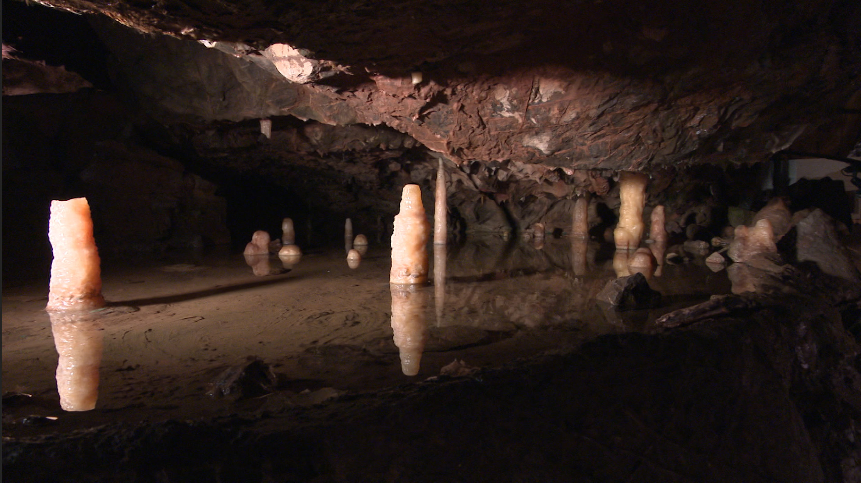 When Cheddar Caves will reopen to the public after two year Covid