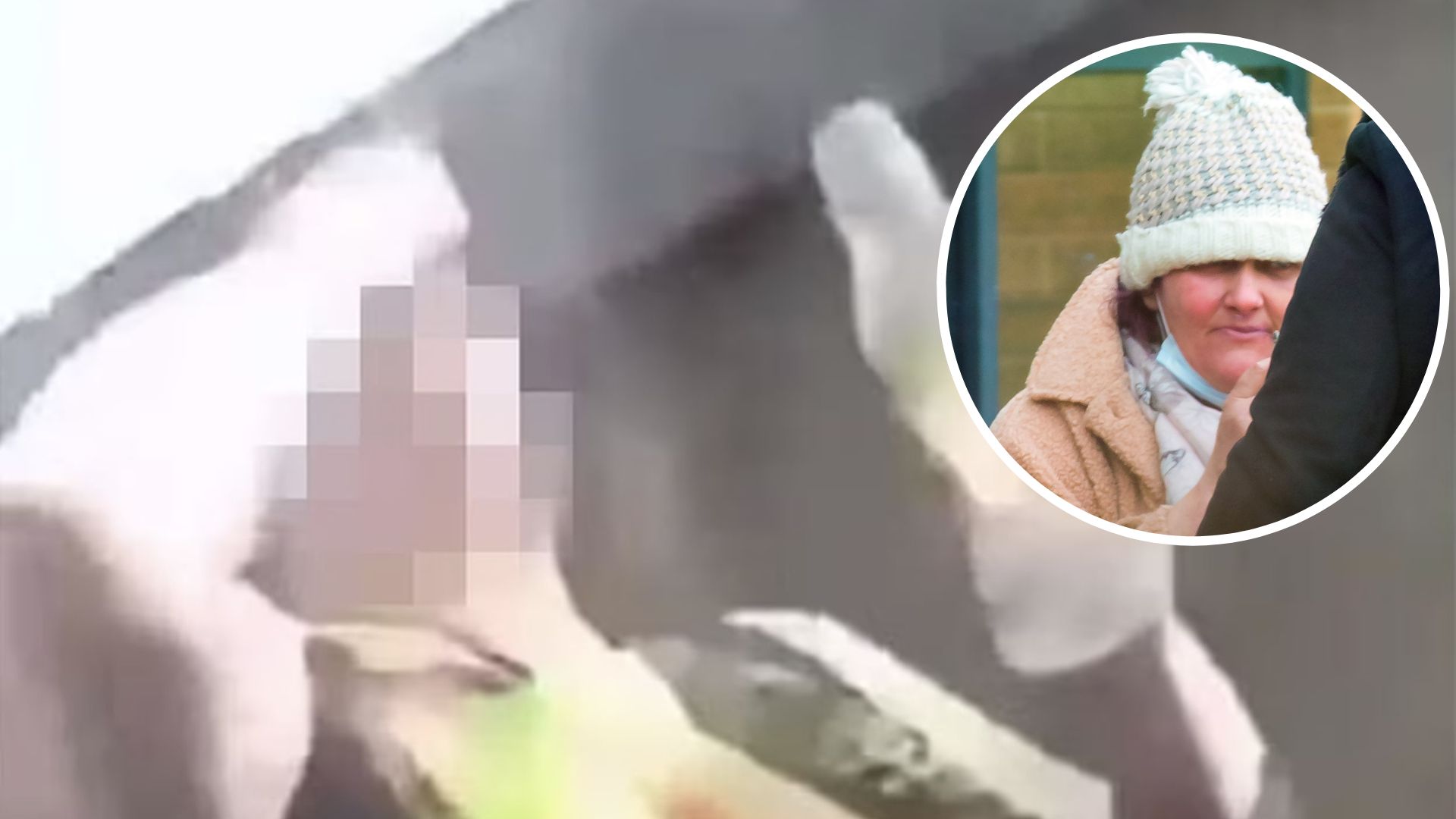 Woman who ate hamster in 'abhorrent' video jailed | ITV News Calendar