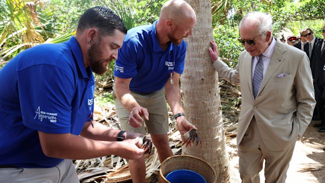 King Charles observed students releasing hermit crabs at the Palmetto Forest during a visit to Trunk Island's Living Classroom