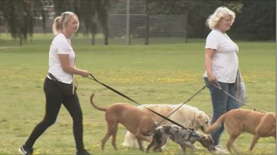 Dog walkers